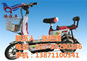 鴻雀王電動(dòng)車 實(shí)力認(rèn)證的品質(zhì)制造商