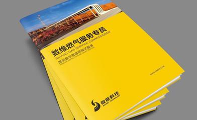 匠心設計，彰顯品質 涂料行業畫冊印刷與圖文設計的專業之道